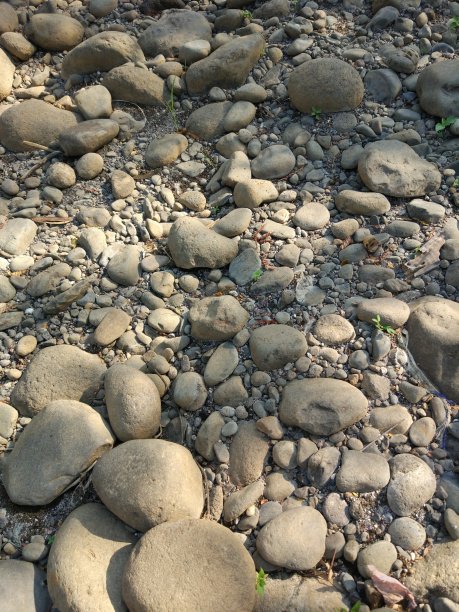 河边干燥岩石的照片图片下载