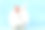 可爱的兔子图片素材ID：386916876