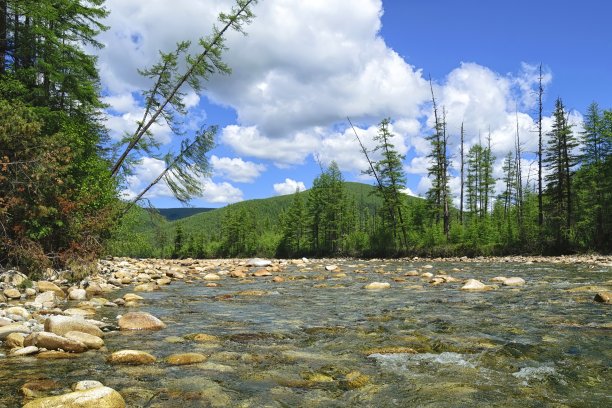 夏日里山上的小河。图片下载