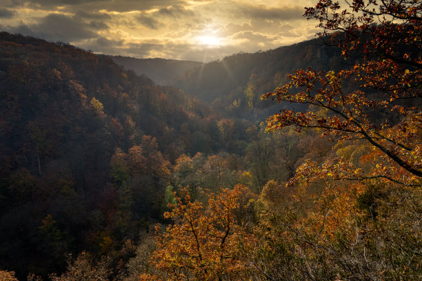 峡谷中五彩缤纷的秋天森林的美丽景色。来自瑞典南部斯堪尼亚国家公园的照片图片下载