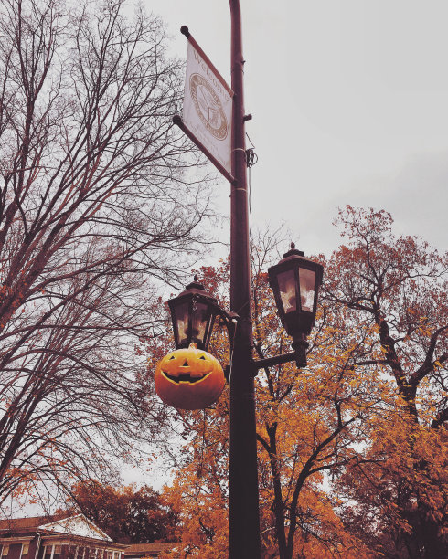 秋天的场景图片下载