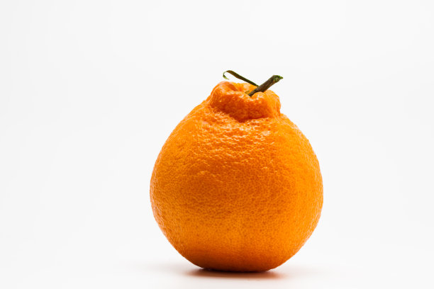 韩式橘色韩拉邦的柔道普通话图片下载