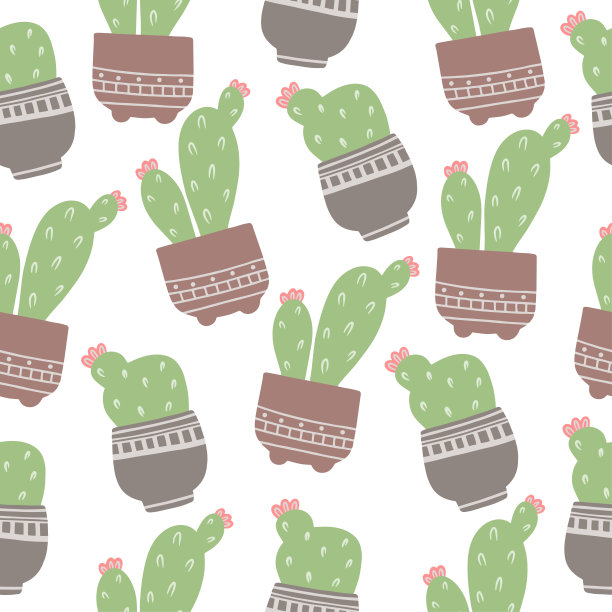 无缝模式与手绘在家盆花，仙人掌和多肉在一个白色的背景。涂鸦,简单的说明。可用于纺织品、纸张的装饰。图片下载