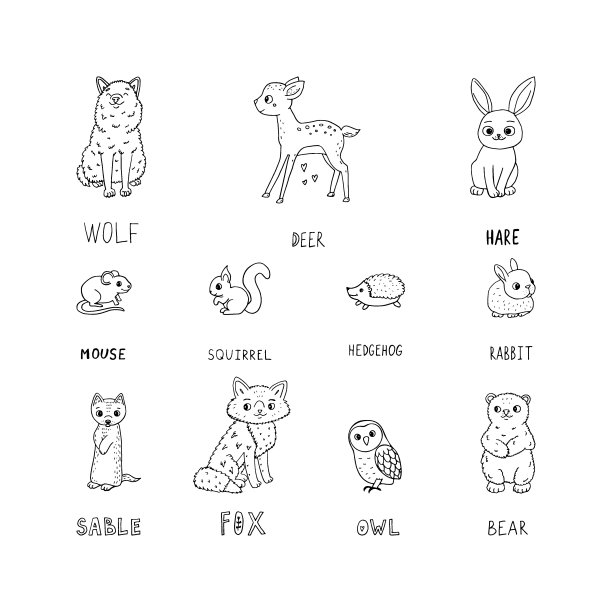 涂鸦森林动物。可爱的线条艺术，黑色的字符在一个白色的背景和字母的名字。图片下载