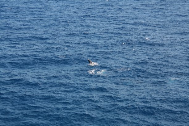 后空翻图片下载