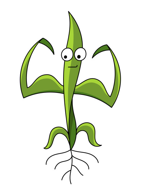 幼苗植物吉祥物强壮，肌肉发达。健康茁壮的绿芽正在生长。农业。平面向量。图片下载