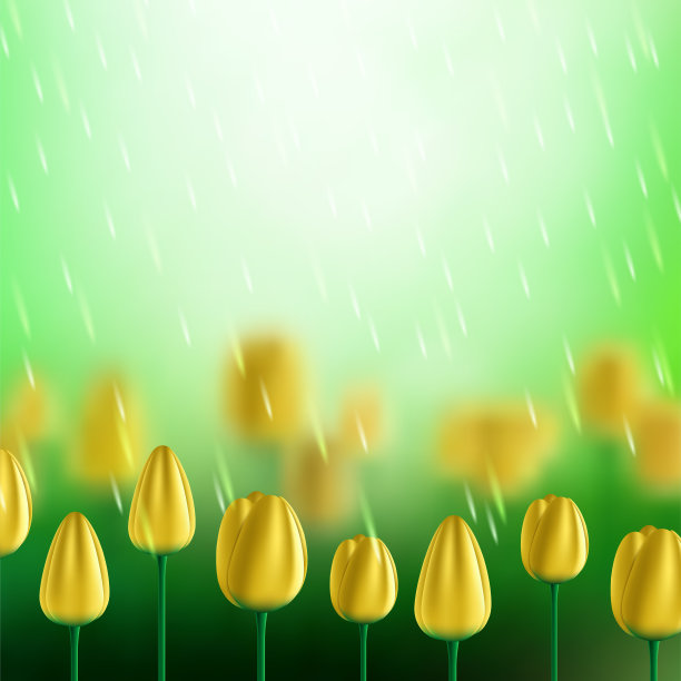 花向量背景与郁金香图片下载