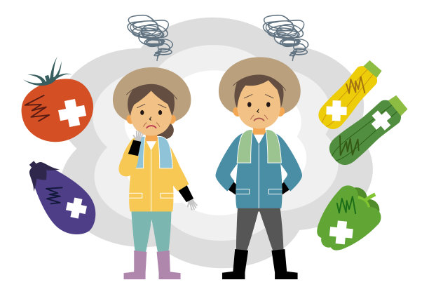 品质不佳的夏季蔬菜图片下载