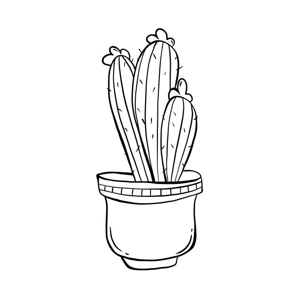 仙人掌图片下载