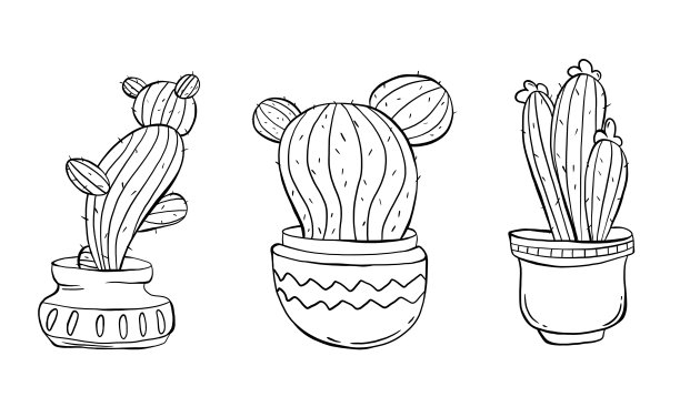 仙人掌图片下载