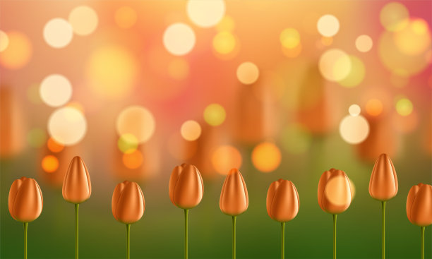 美丽的郁金香在自然背景图片下载