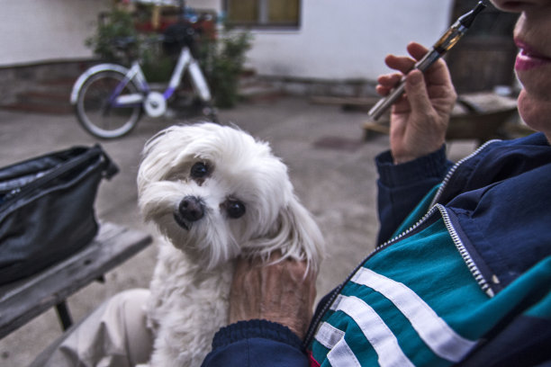 养狗的女人图片下载