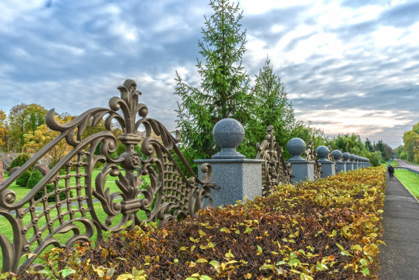 在Buky景观公园，修剪过的灌木靠近装饰性的篱笆。乌克兰图片下载