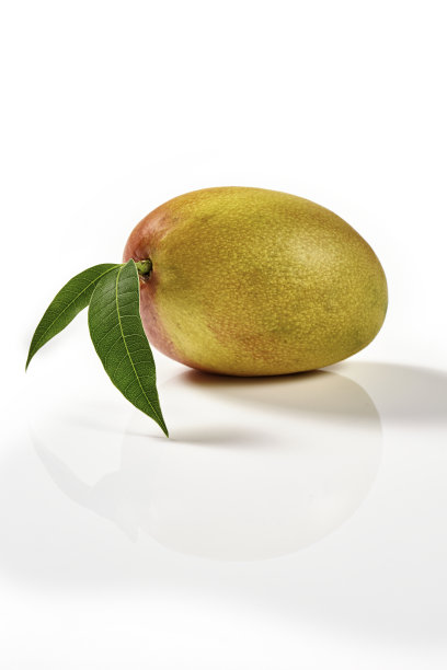 热带水果。白色背景上孤立的芒果图片下载