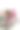 美丽的年轻女子在室内锻炼，在灰色垫子上做瑜伽练习图片下载