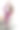 美丽的年轻女子在室内锻炼，在灰色垫子上做瑜伽练习图片下载