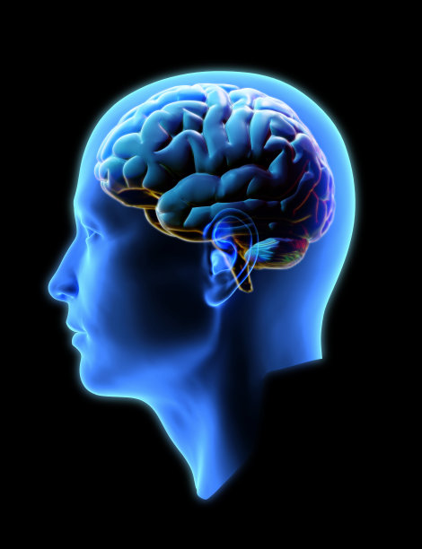 在黑暗的BG中有大脑的3D人类头部图片下载