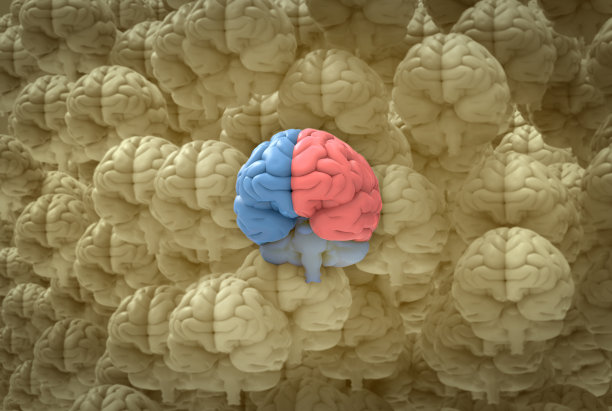 3D渲染彩色大脑从众多大脑BG中脱颖而出图片下载