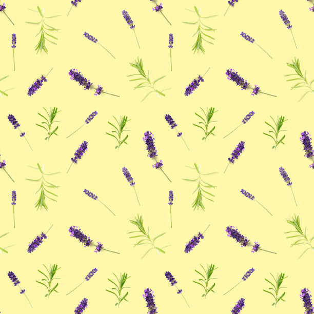 无缝图案的薰衣草花孤立在黄色。新鲜的花朵。花卉图案。图片下载