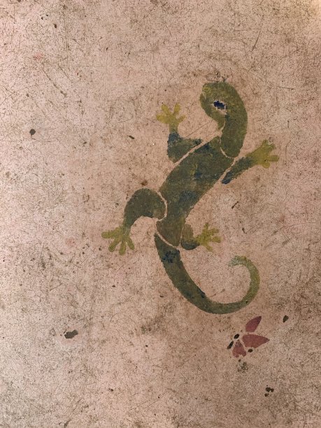 的爬行动物图片下载