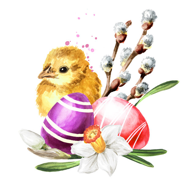 彩色的复活节彩蛋，小黄鸡和春天的花朵。手绘水彩插图，孤立的白色背景图片下载