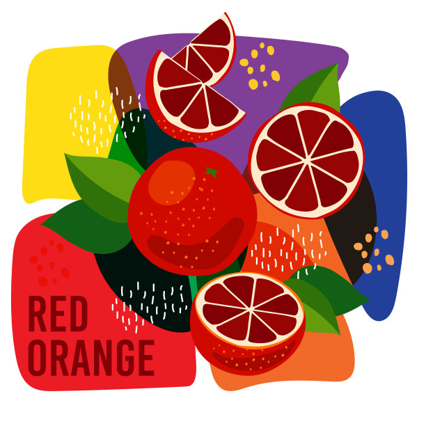 成熟的红血橙图片下载