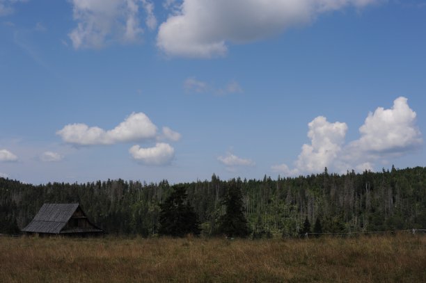 在波兰南部的戈尔茨山脉的全景在夏天与绿色的松树山和草地在晴朗的一天与蓝天和云图片下载