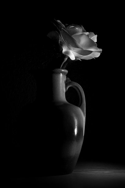 极端对比的黑色和白色和形象的丝绸玫瑰和花瓶图片下载