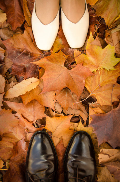 11月19日。2019. 大韩民国。秋季和几图片下载