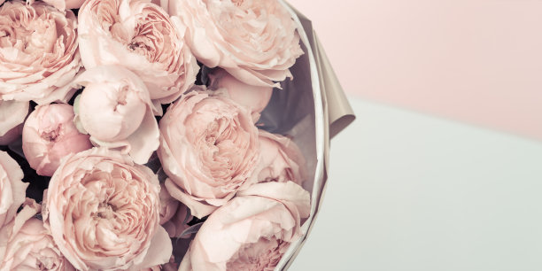 夏天娇嫩的花瓣盛开的大卫奥斯汀玫瑰，粉红色盛开的玫瑰花为自然背景。复古的颜色。图片下载