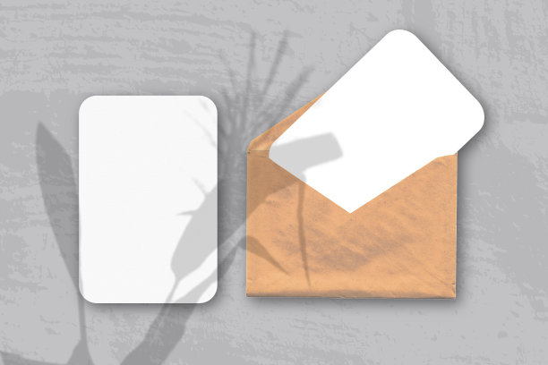 一个信封，上面有两张有纹理的白纸，放在桌子的灰色背景上。模型覆盖的植物阴影。自然光从植物的小穗和叶子上投射阴影图片下载