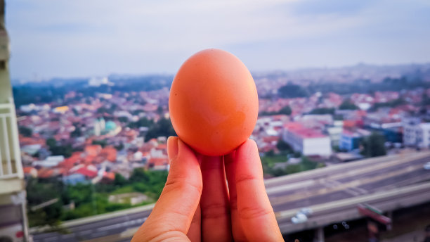 27、鸡蛋带着自己的美丽，飘向云霄，飘向大地图片下载