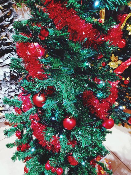 圣诞树图片下载