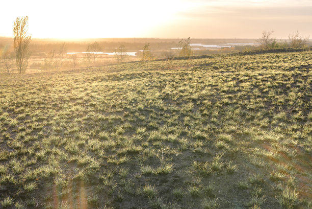 背景图片的草地在秋天的日落在田野。图片下载