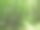 夏季森林视图图片下载
