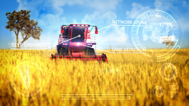 自动驾驶谷物收割机结合工作在农业领域-工业3D插图与数字叠加图片下载