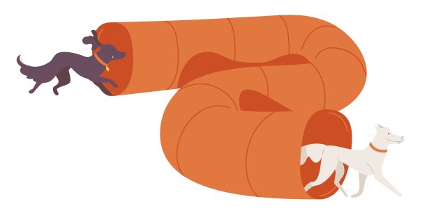 狗狗跑过橙色长隧道，白色背景上的宠物犬训练图片下载