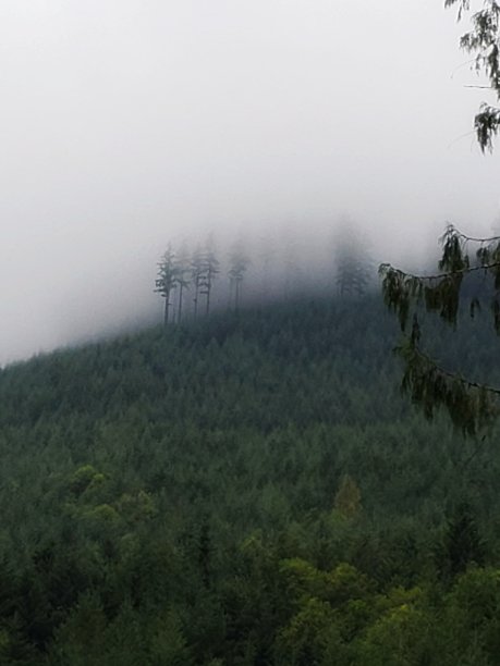 背后的雾图片下载