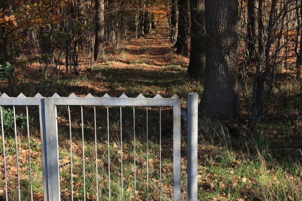 金属豌豆图片下载