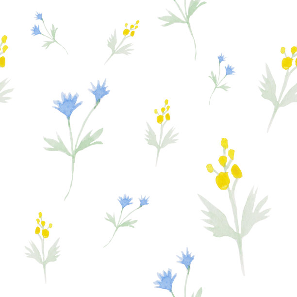 水彩无缝花纹配花、干花图片下载