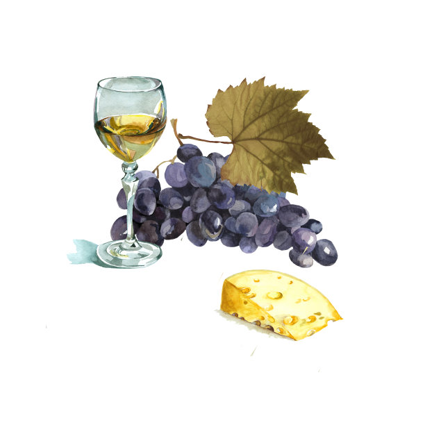 水彩酒杯，葡萄和奶酪白色插图。图片下载