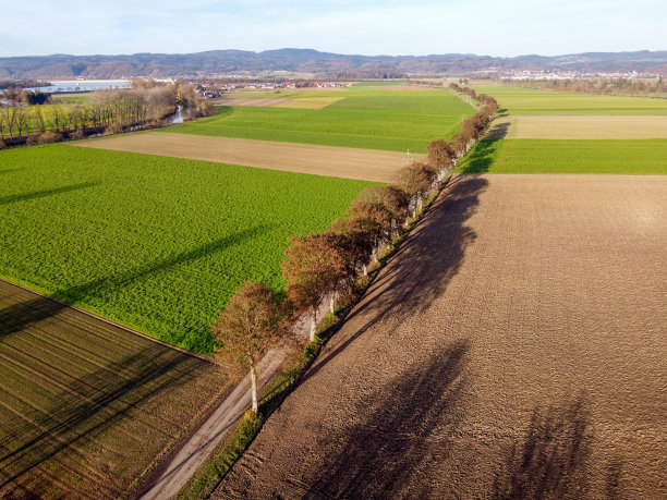 11月一个晴朗寒冷的日子，在巴伐利亚收割的田野图片下载