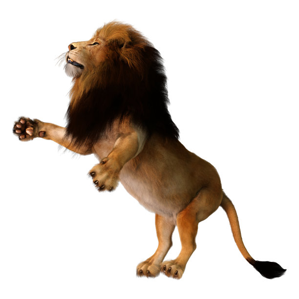 3D插图雄狮孤立白色图片下载