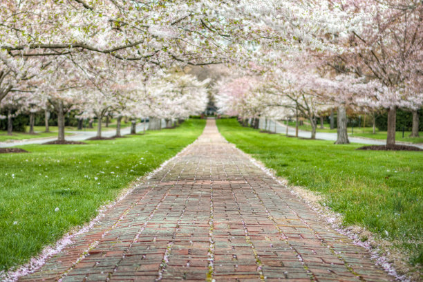 春天弥漫在空气中!图片下载