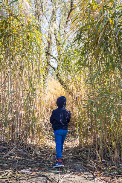 在自然图片下载