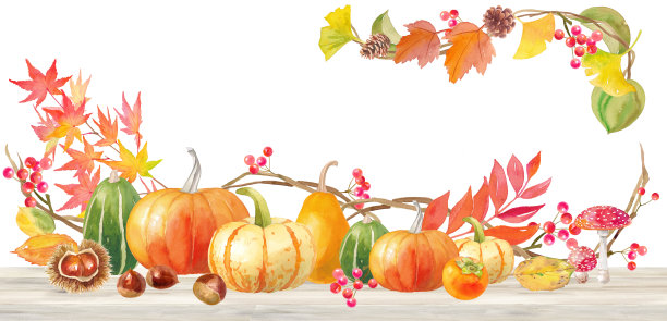 万圣节南瓜装饰架在桌子上。水彩插图。图片下载