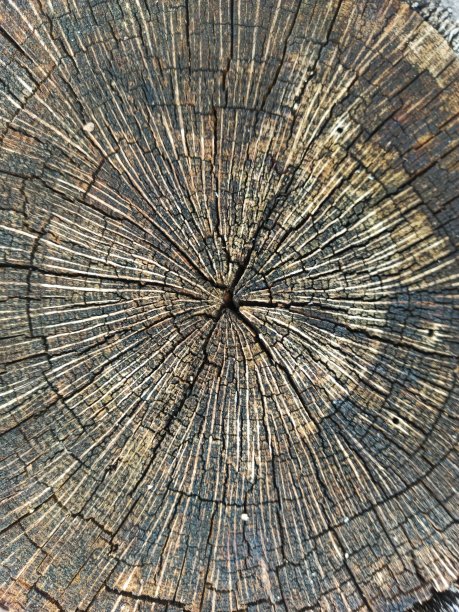 旧的木头图片下载