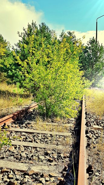 旧铁路线图片下载