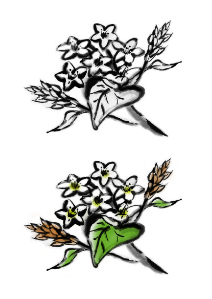 荞麦面上的花图案。图片下载