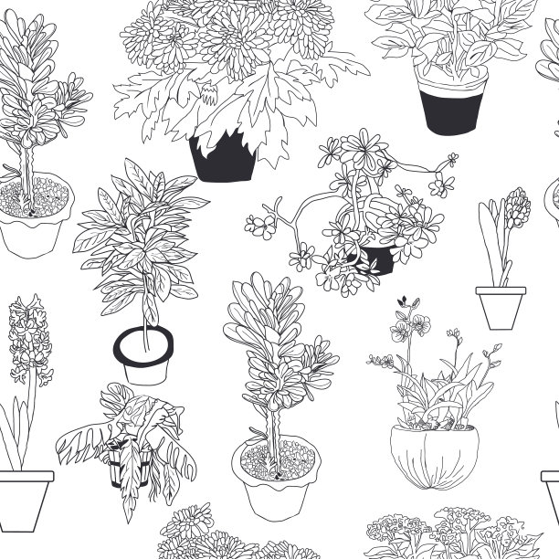 无缝模式不同的室内植物图片下载